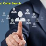 Collar Search Profile Picture
