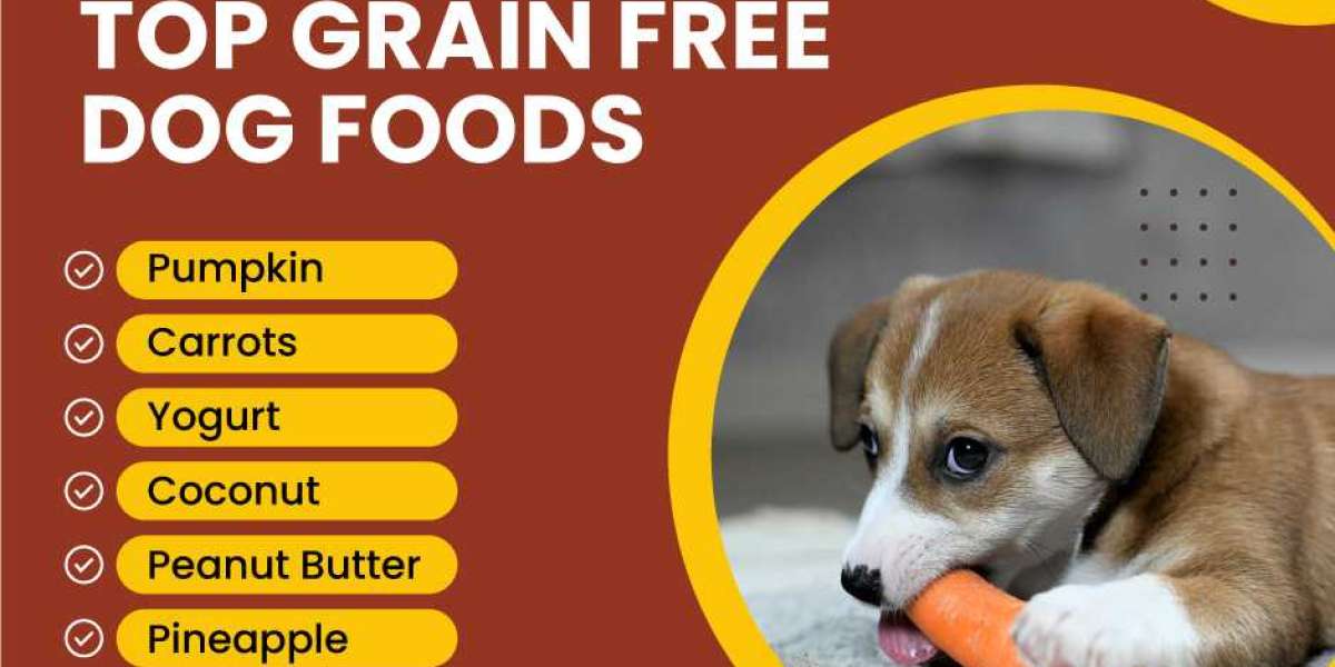 Top 6 Grain-Free Food For Dogs