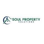 soulpropertysolutions Profile Picture