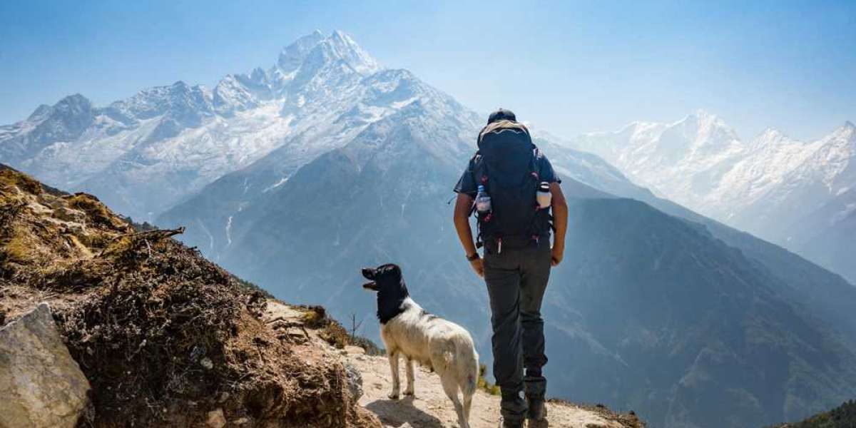 Exploring Himachal Pradesh's Best Treks: Snowline, Laka Glacier, and Indrahar Pass