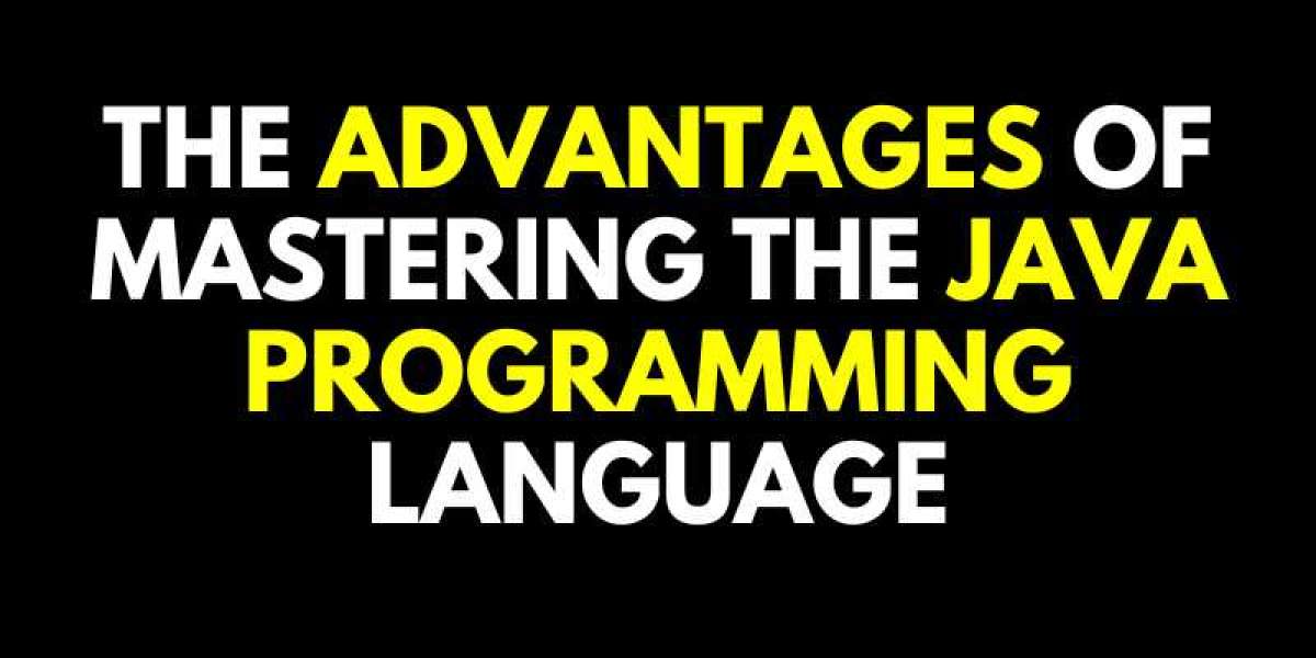 The advantages of mastering the Java programming language