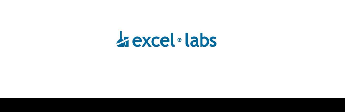 Excel Labs Cover Image