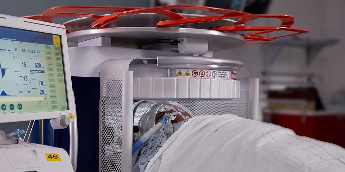 Portable MRI Market Size, Trends,Growth and Forecast