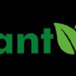 Plant A Leaf Profile Picture