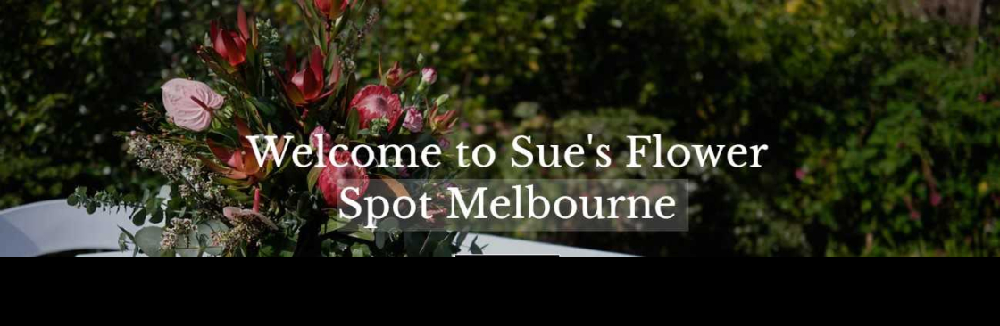 suesflower spot Cover Image