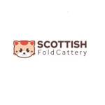 Scottish Fold Cattery Profile Picture
