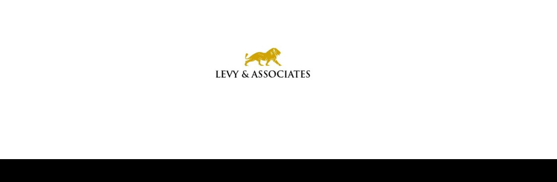 Levy Associates Cover Image