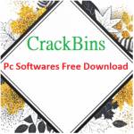 crack bins Profile Picture