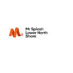 Mr Splash Plumbing Lower North Shore Profile Picture