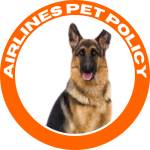 Airlines Policy Profile Picture