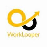 worklooper consultant Profile Picture