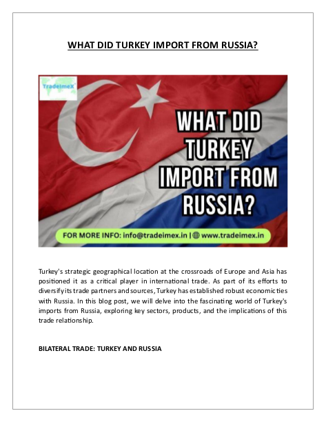 WHAT DID TURKEY IMPORT FROM RUSSIA?