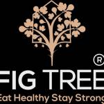 Figtree India Profile Picture
