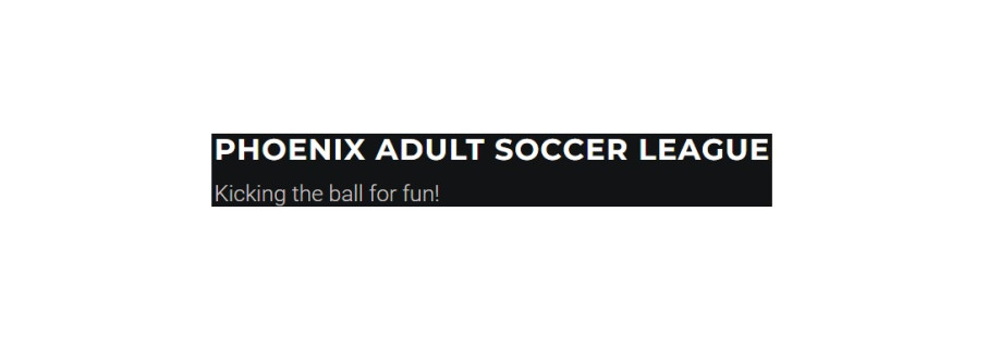 Phoenix Adult Soccer League Cover Image