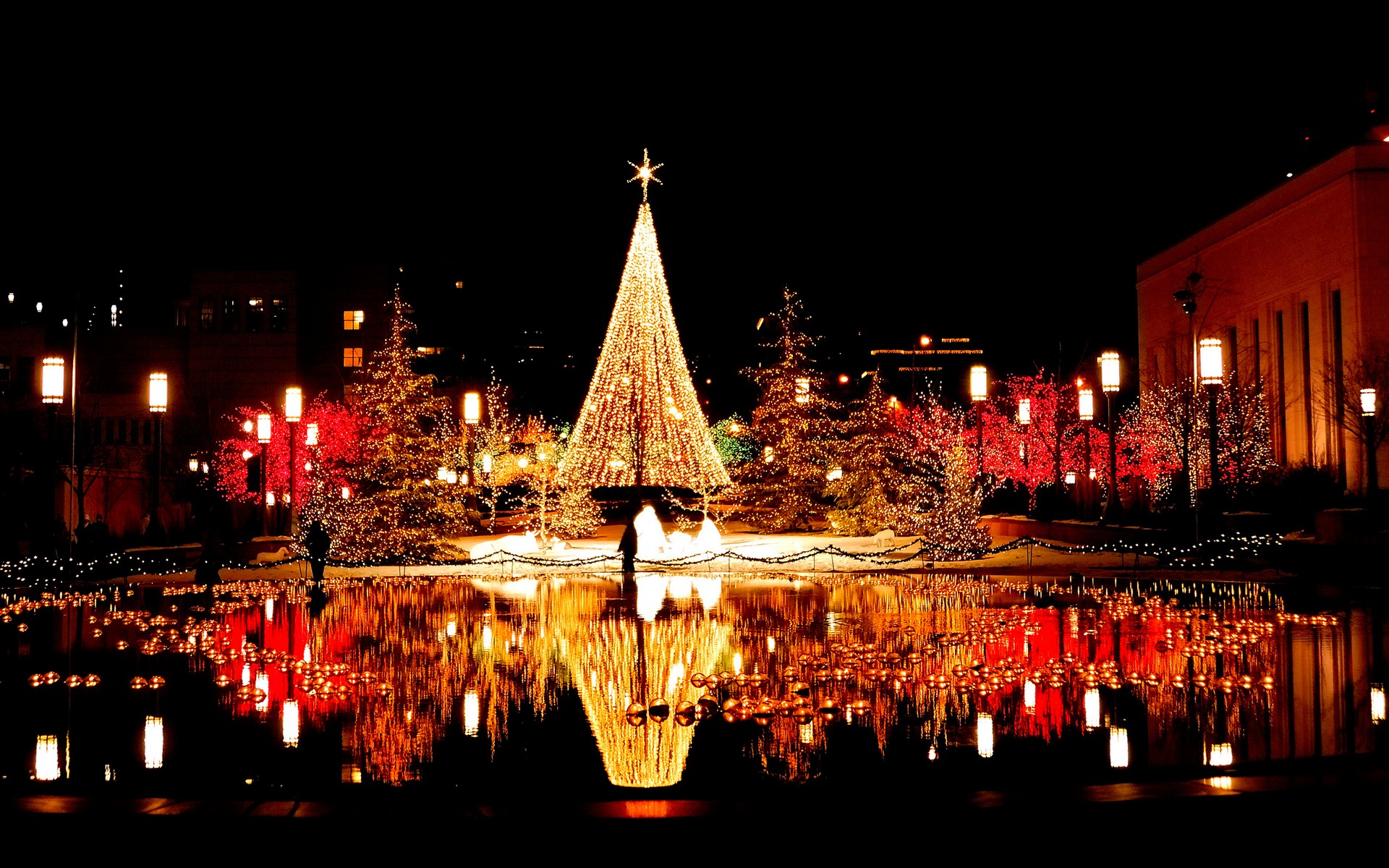 Top 10 Best Destinations Of India To Celebrate Christmas