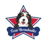 Texas bernedoodles Profile Picture