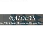 Baileys Cleaning Services Profile Picture