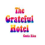 The Grateful Hotel Profile Picture