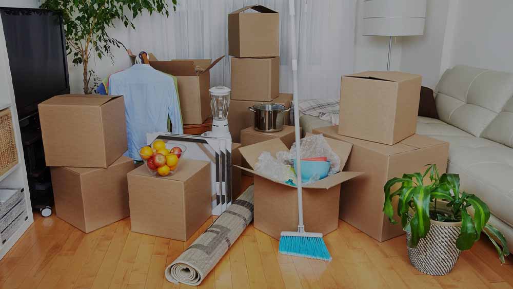 Move-in & Move-out Cleaning Dubai, Sharjah | Eco Guardian