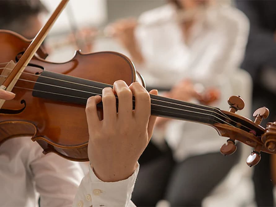 String Instrument Showdown: Which One is Right for You? -