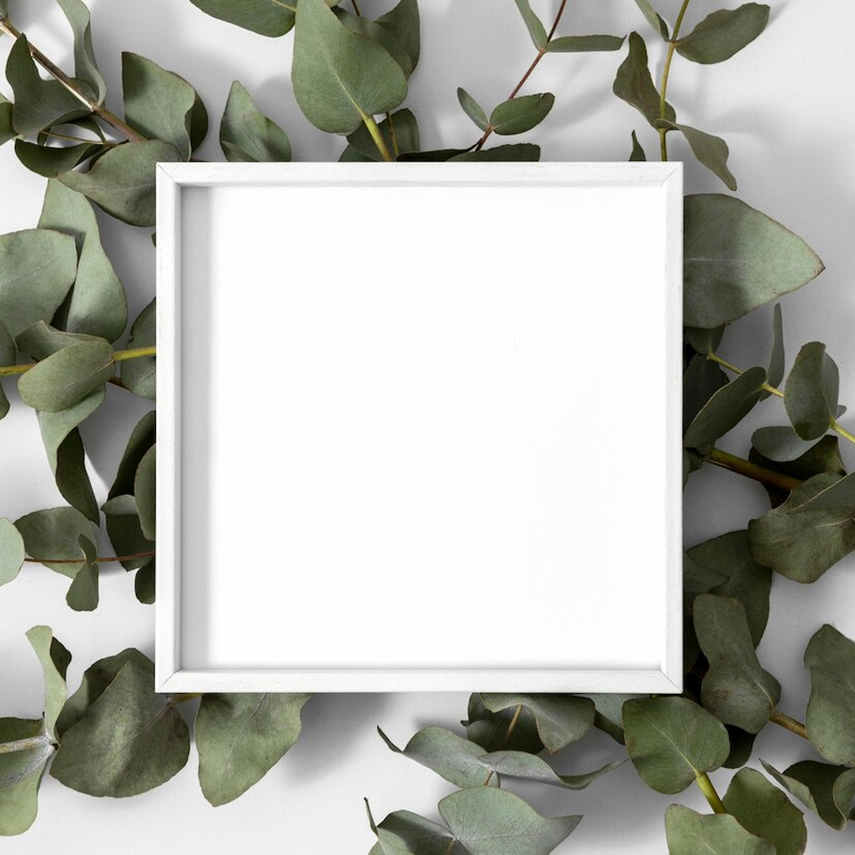 Choosing the Perfect Picture Frames: Preserve Your Precious Memories with Style – Mason'sNews