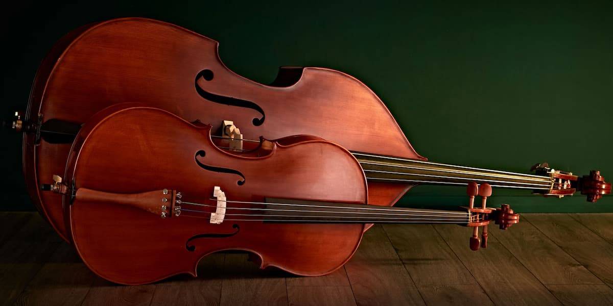 Upright Basses: A Comprehensive Guide for First-Time Buyers – AllSphere Insights