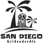 San Diego Goldendoodles Profile Picture