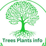 treesplantsinfo treesplantsinfo Profile Picture