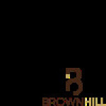 Brownhill Chauffeurs Profile Picture