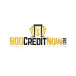 800 Credit Now Profile Picture