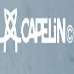 CAPELIN CREW Profile Picture
