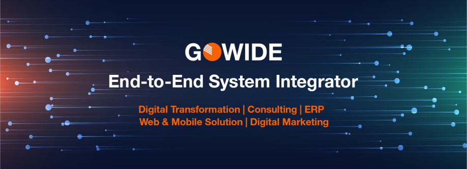 Gowide Solutions Profile Picture