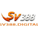 SV388 DIGITAL Profile Picture