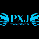 pxj thlol Profile Picture