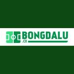 Bongdalu resistancerecess Profile Picture