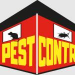 NI Pest Control Proofing Profile Picture