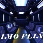Limo Flint Profile Picture