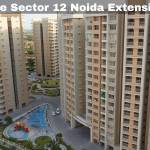 Ace Sector 12 Noida Extension Profile Picture