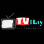 tvhaycom co Profile Picture