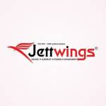 Jett Wings Profile Picture