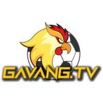 Gavang TV Profile Picture