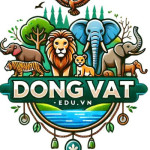 Động Vật Profile Picture