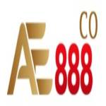 AE888 cohome Profile Picture