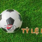 Tylekeo tvx profile picture