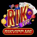 Rikvip Casino Profile Picture